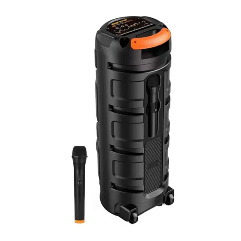 outdoor speaker with microphone