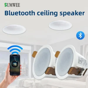 ceiling wireless bluetooth speakers