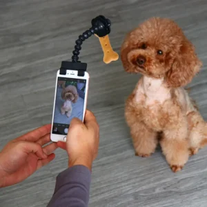 selfie dog stick